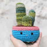 Crochet Cactus Plant Pattern, Amigurumi Houseplant Cactus Plushes, Easy Beginner Patterns