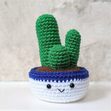 Crochet Cactus Plant Pattern, Amigurumi Houseplant Cactus Plushes, Easy Beginner Patterns