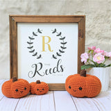 CROCHET PATTERN: Pumpkin Family