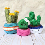 Crochet Cactus Plant Pattern, Amigurumi Houseplant Cactus Plushes, Easy Beginner Patterns