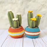 Crochet Cactus Plant Pattern, Amigurumi Houseplant Cactus Plushes, Easy Beginner Patterns