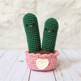 Crochet Cactus Plant Pattern, Amigurumi Houseplant Cactus Plushes, Easy Beginner Patterns