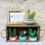 CROCHET PATTERN: Ball Cactus