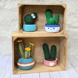 CROCHET PATTERN PACK: Cozy Fall Cactus, Ball Cactus, Cactus Trio, Love Cactus