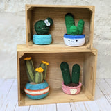 CROCHET PATTERN: Ball Cactus