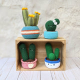 CROCHET PATTERN: Love Cactus